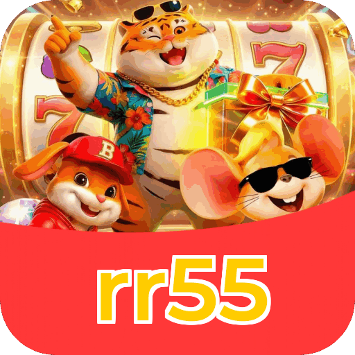 Interface rr55
